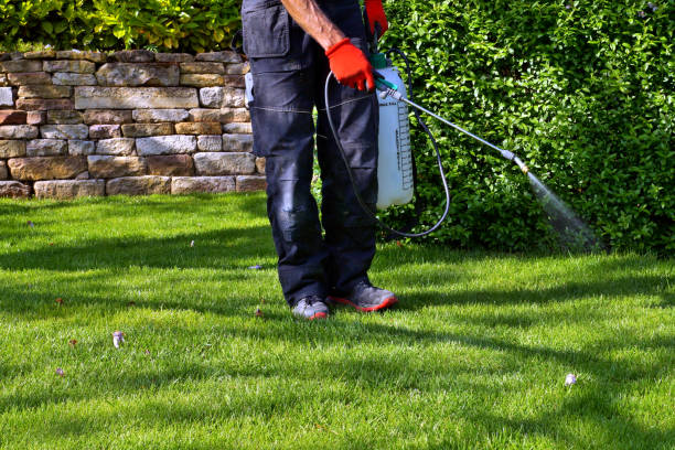 Best Rodent Control (Mice, Rats)  in Pine Grove Mills, PA